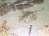 100_3177.jpg