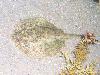 100_3178.jpg