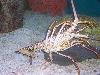 100_3179.jpg