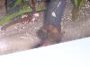 100_3181.jpg
