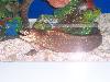 100_3184.jpg