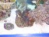 100_3194.jpg