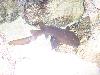 100_3207.jpg