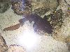 100_3208.jpg