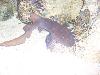 100_3209.jpg