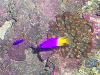 100_3212.jpg