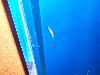 100_3223.jpg