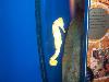 100_3227.jpg