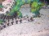 100_3237.jpg