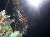 100_3240.jpg