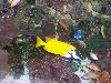 100_3241.jpg