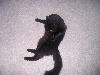 100_3243.jpg