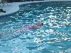 100_3278.jpg