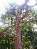 100_2523.JPG