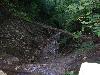 100_2537.JPG