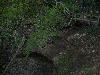 100_2545.JPG