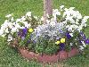 100_2789.JPG