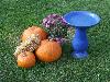 100_2790.JPG