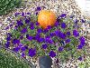 100_2791.JPG