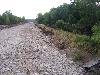 100_3619.JPG
