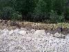 100_3621.JPG