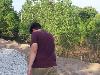 100_3638.JPG