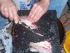 100_3518.JPG
