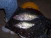 100_3523.JPG