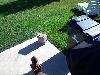 0808080819.jpg