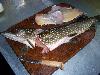 100_3756.jpg