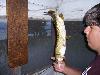 100_3765.jpg