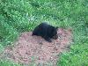 100_3805.jpg