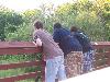 100_3810.jpg