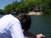 100_4241.JPG
