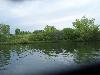 100_4264.JPG