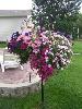 100_4419.JPG