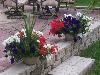 100_4423.JPG