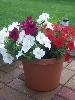 100_4428.JPG