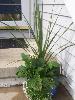 100_4435.JPG