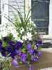 100_4440.JPG