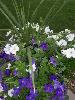 100_4441.JPG