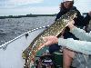 100_4474.JPG