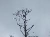 100_4506.JPG