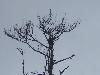 100_4507.JPG