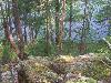 100_4584.JPG