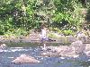 100_4595.JPG