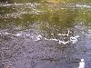 100_4608.JPG