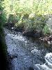 100_4611.JPG