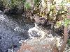 100_4616.JPG