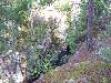 100_4621.JPG